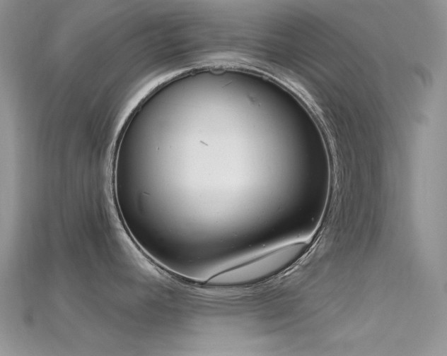 X0000115731392200911121503