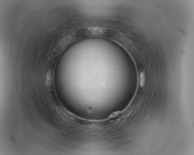 X0000115731395200911121502