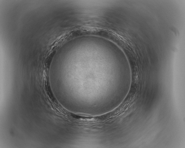 X0000115731397200911121502