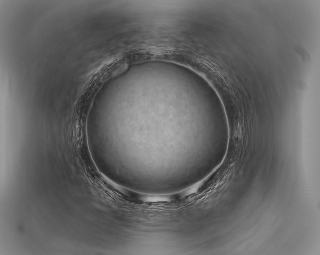 X0000115731398200911121502
