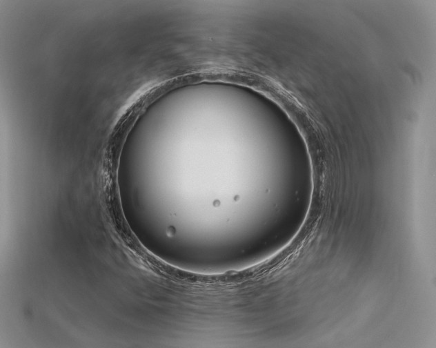 X0000115731400200911121502