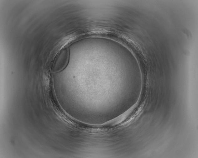 X0000115731401200911121502