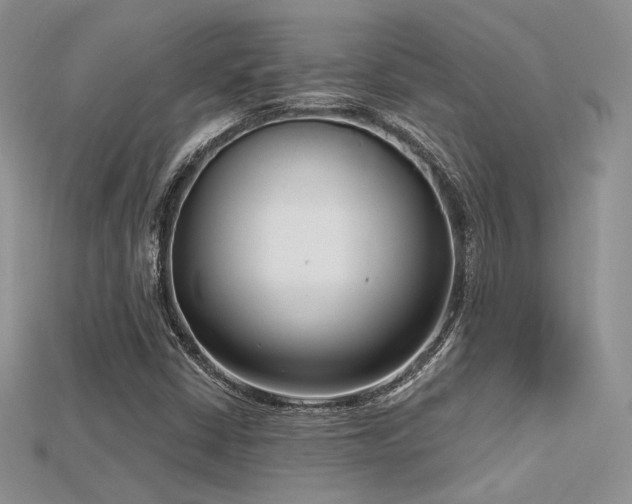 X0000115731402200911121502