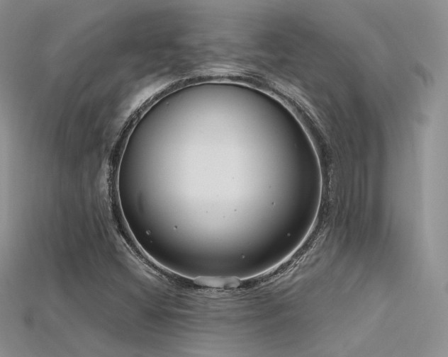 X0000115731404200911121502