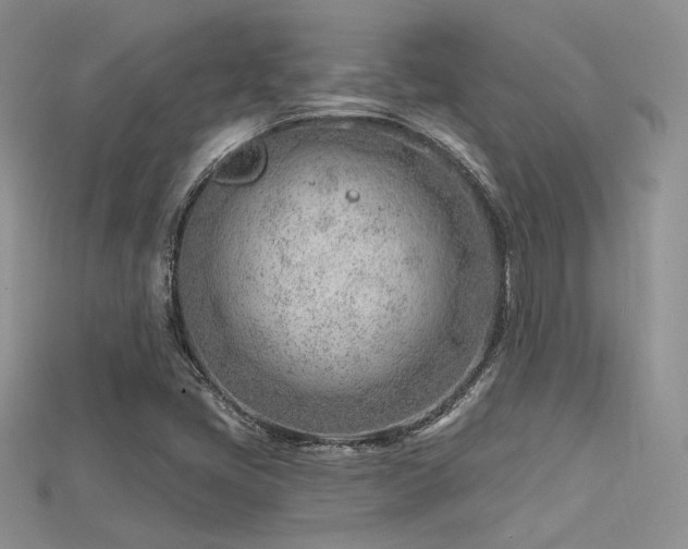 X0000115731405200911121502