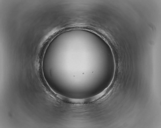 X0000115731406200911121502