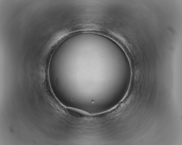 X0000115731407200911121502