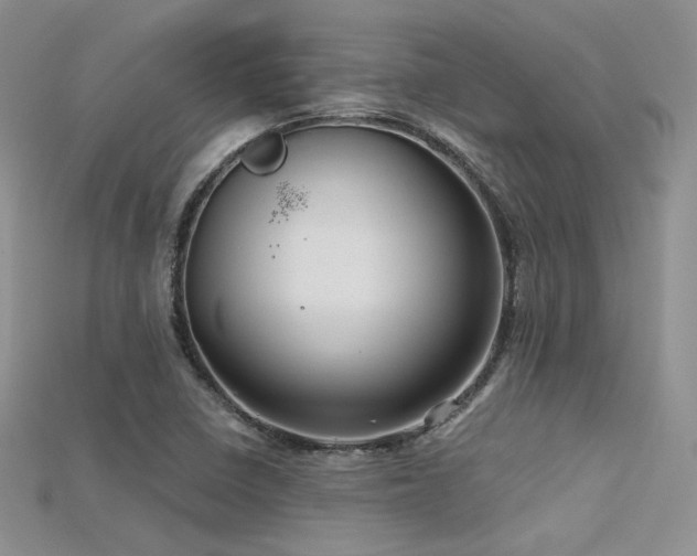 X0000115731410200911121502