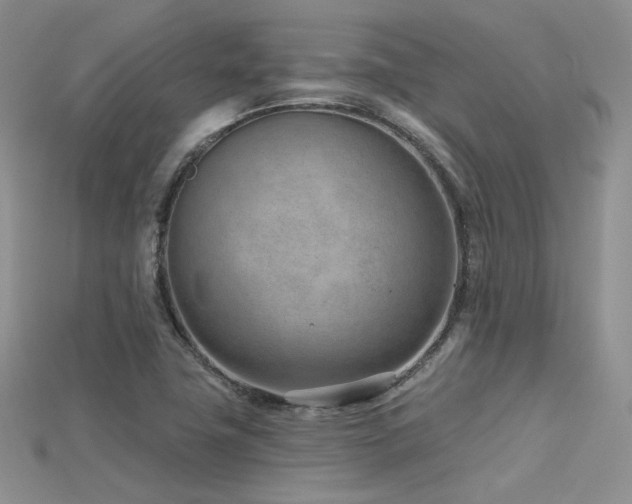 X0000115731411200911121502