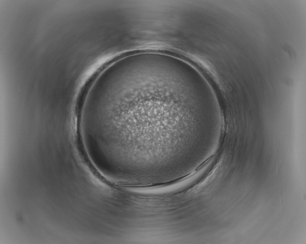 X0000115731414200911121502