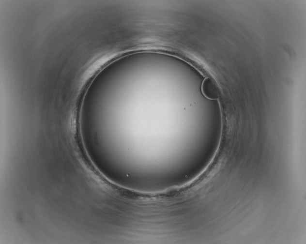 X0000115731415200911121502