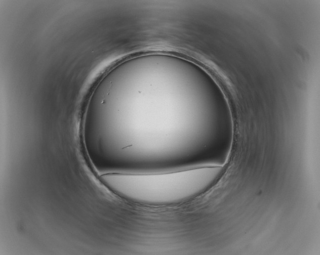 X0000115731416200911121502