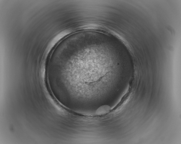 X0000115731418200911121502