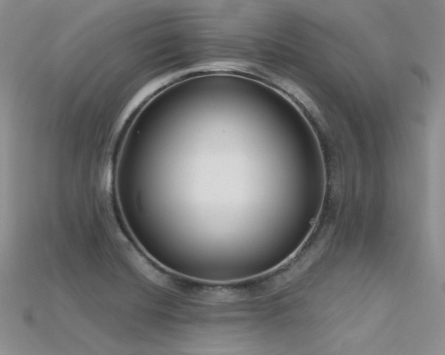 X0000115731420200911121502
