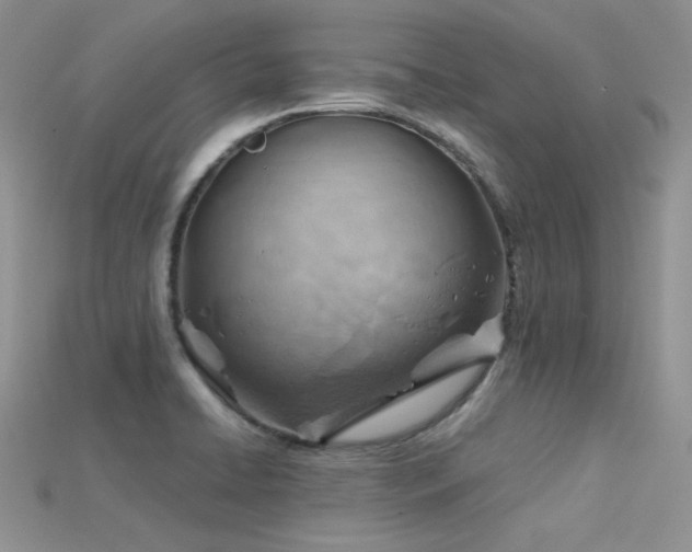 X0000115731422200911121502