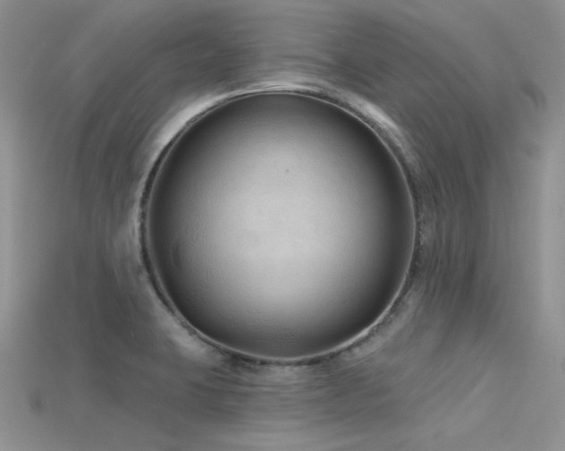 X0000115731423200911121502