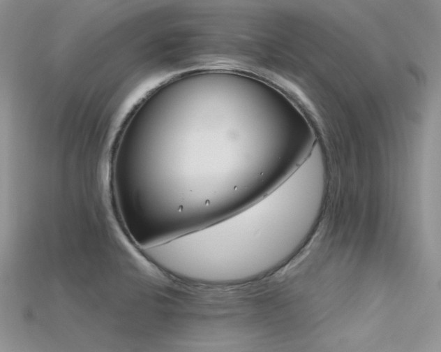 X0000115731424200911121502