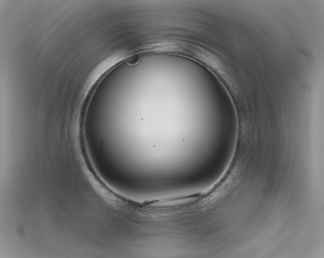 X0000115731426200911121502