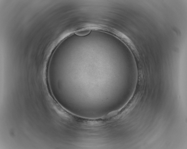 X0000115731427200911121503