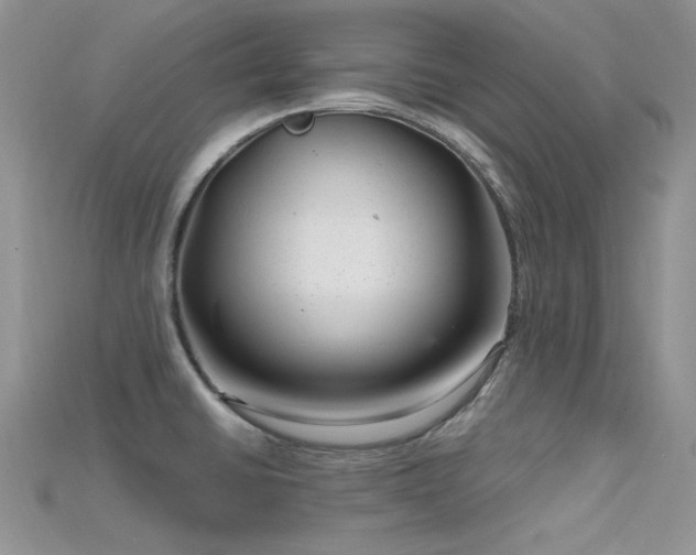 X0000115731430200911121503