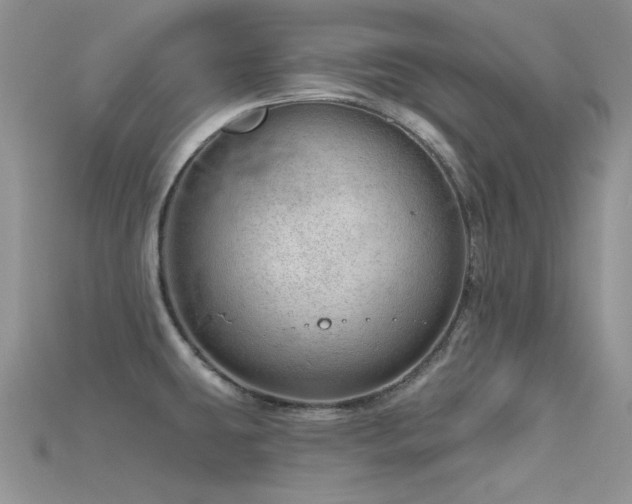 X0000115731431200911121503