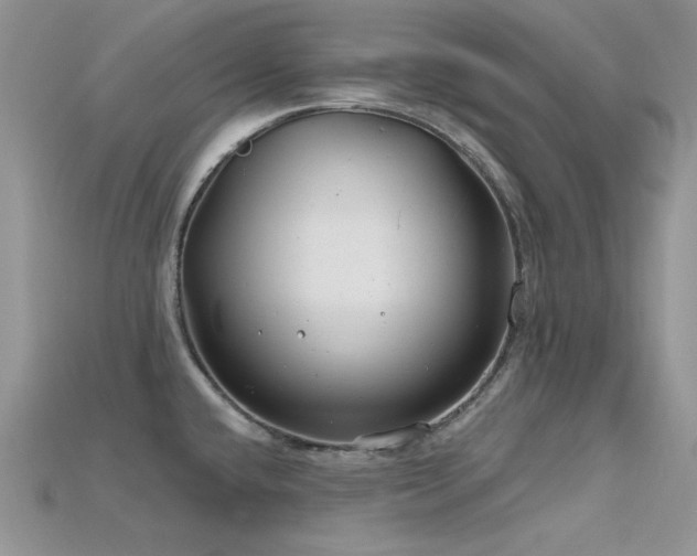 X0000115731432200911121503