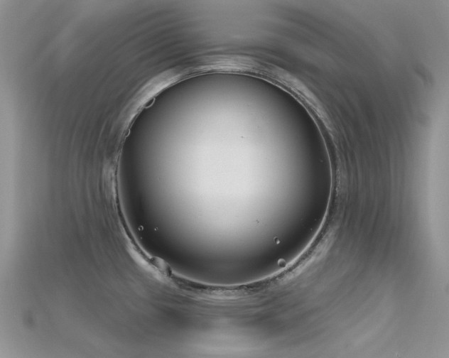 X0000115731433200911121503