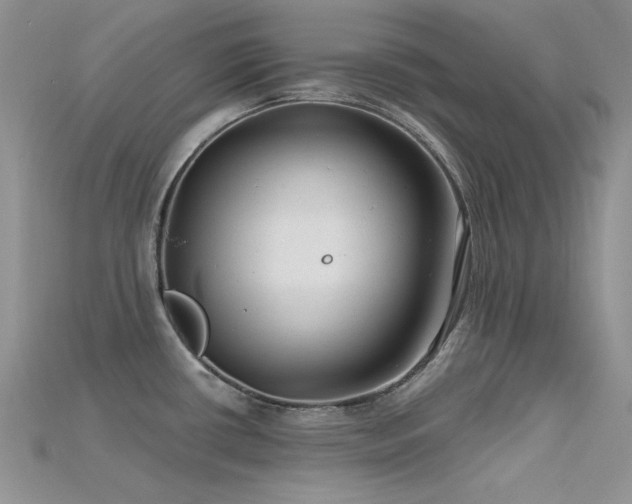 X0000115731434200911121503