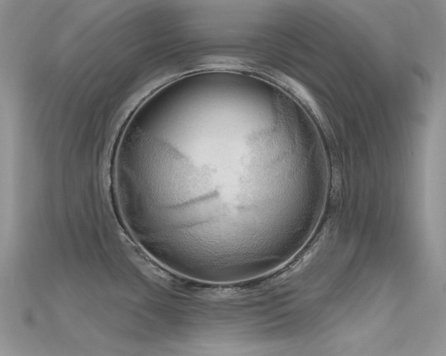X0000115731435200911121503