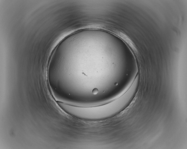 X0000115731436200911121503