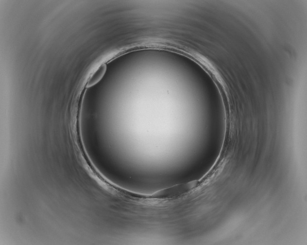 X0000115731437200911121503