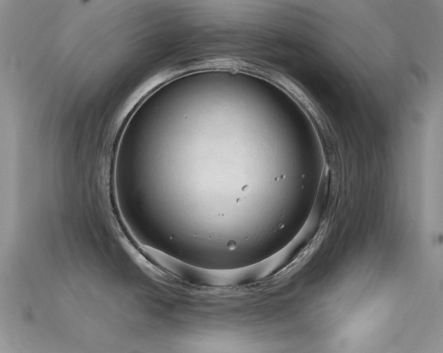 X0000115731438200911121503