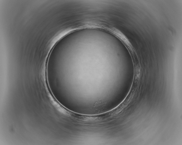 X0000115731439200911121503