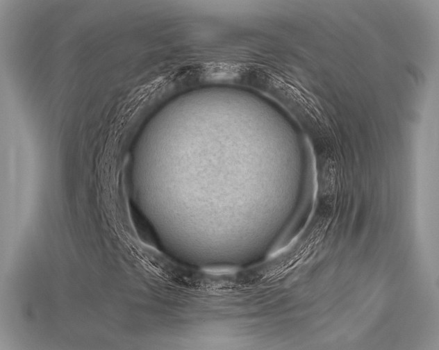 X0000115731441200911121502