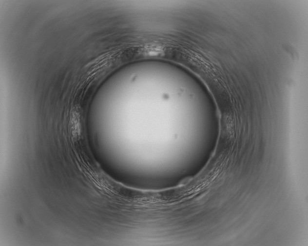 X0000115731442200911121502