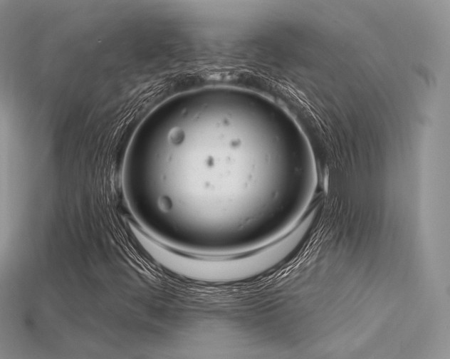 X0000115731444200911121502