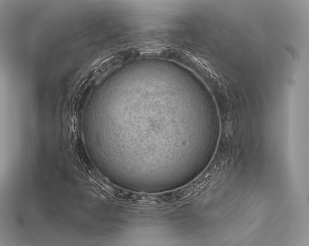 X0000115731445200911121502