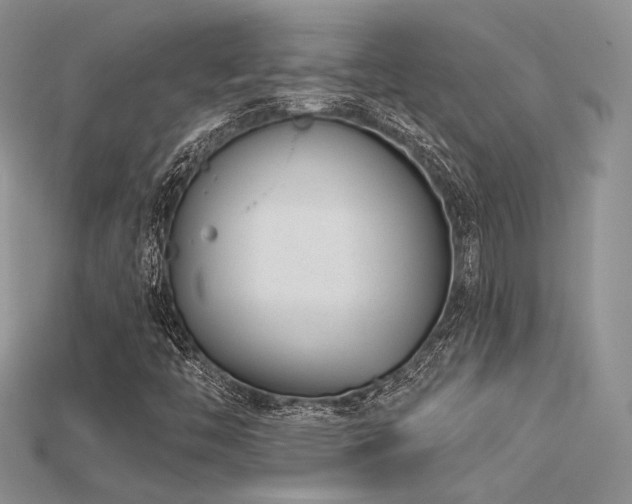 X0000115731446200911121502