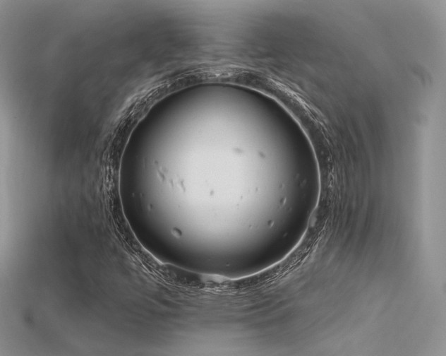 X0000115731447200911121502