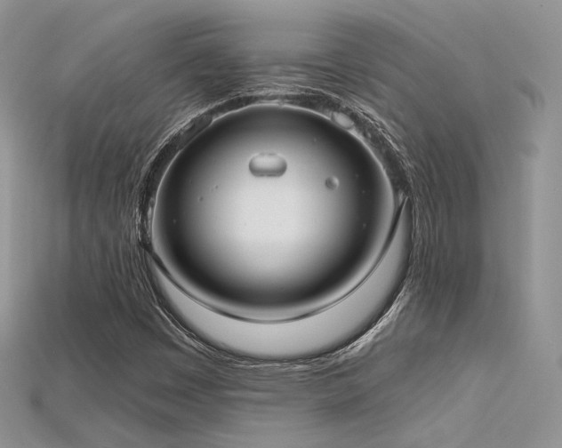 X0000115731449200911121502