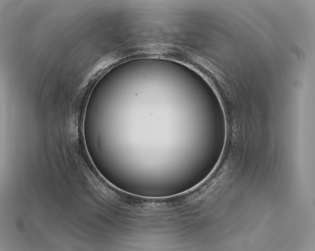 X0000115731451200911121502