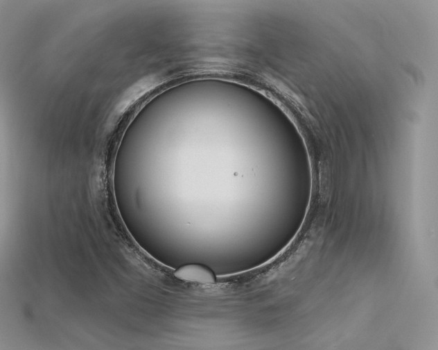 X0000115731453200911121502
