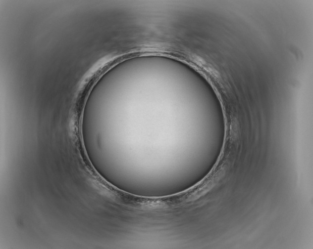 X0000115731454200911121502