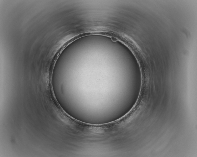 X0000115731457200911121502