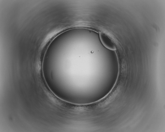 X0000115731461200911121502
