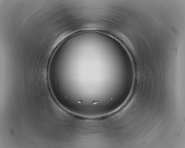 X0000115731465200911121502