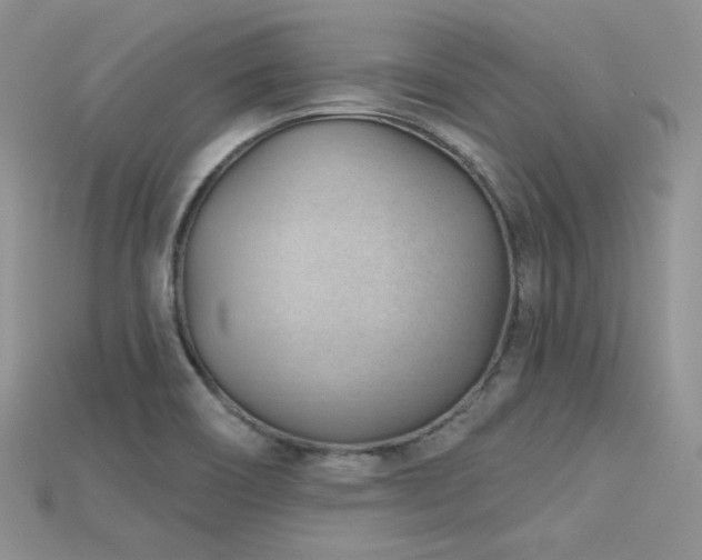 X0000115731466200911121502