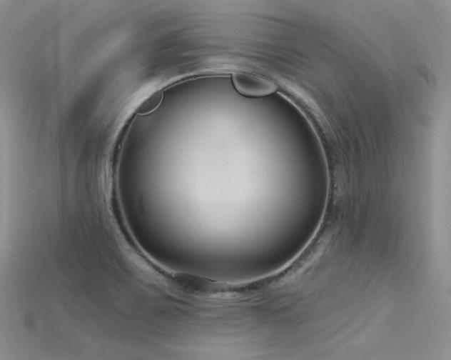X0000115731467200911121502