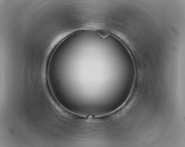 X0000115731469200911121502