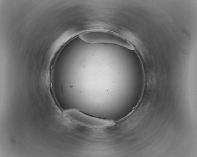 X0000115731472200911121502